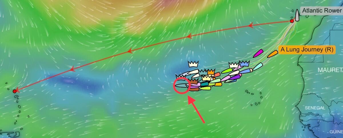 MBaer Swiss Raw position