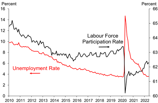 US Labour Market Indicators.